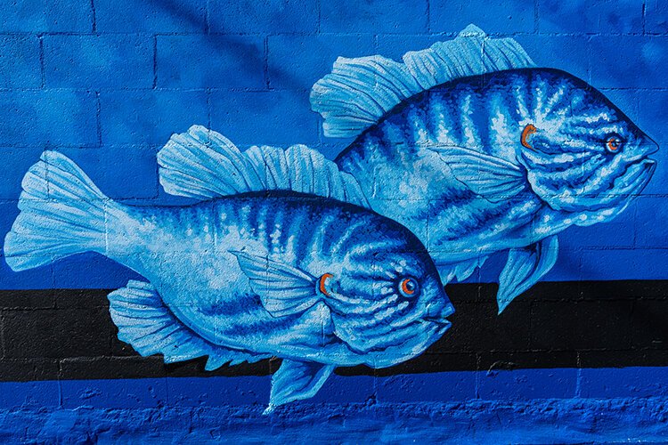 Steve Nordgren's mural depicts vibrantly colored fish.