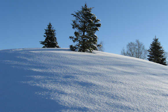 Evergreens and winter weather make the U.P. similar to Finland in climate.