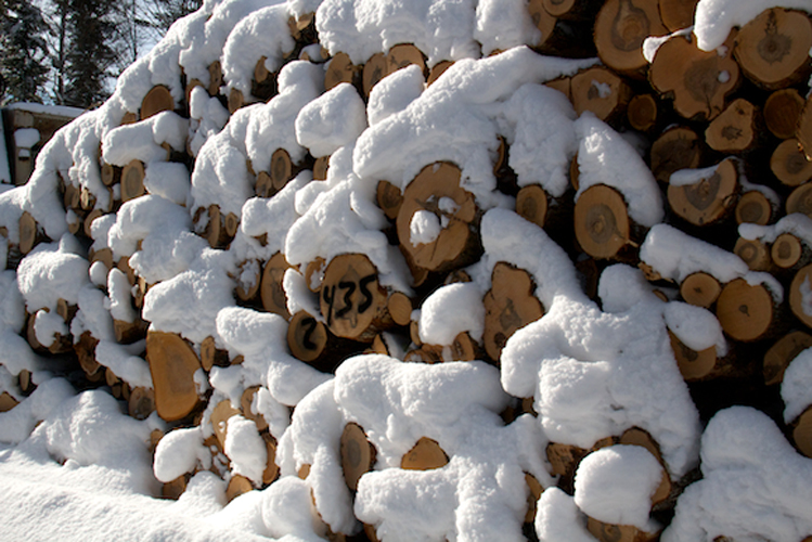 Snow covered wood