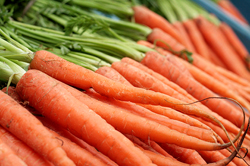 Organic carrots thumb