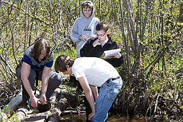 Hancock Middle School Students work on a wetlands preservation project.
