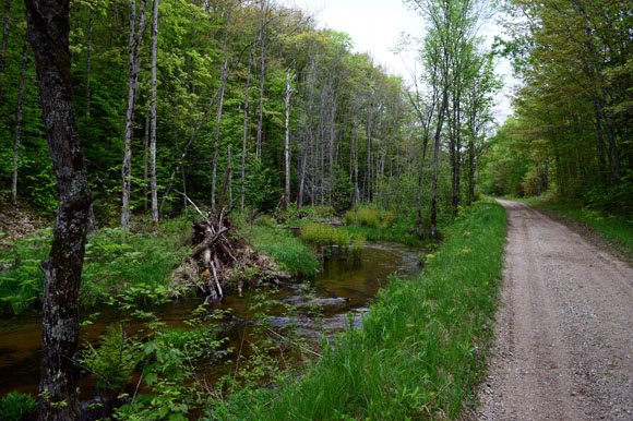 Delia's Run, next to the Haywire, in the Hiawatha National Forest. 