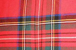 Plaid might be the official color of the U.P.