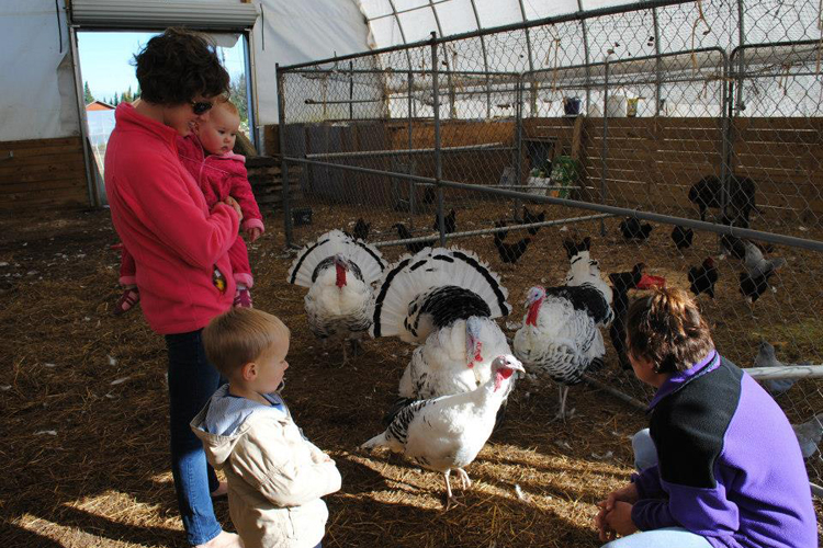 Deanna Jones, right, gives CSA members a tour of Beaver Meadow Creek Farms.
