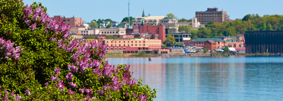 Lilacs in bloom , Marquette lower harbor I Shawn Malone