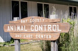 Bay County Animal Control List Image