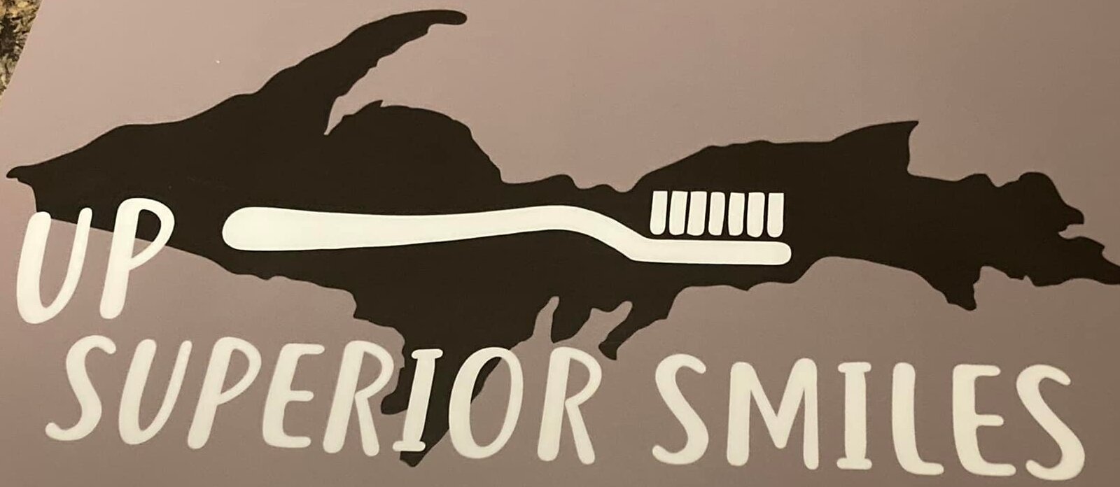 Lynda Gregorini started the nonprofit U.P. Superior Smiles, In 2021, she launched U.P. Superior Smiles, to provide dental care in school settings.