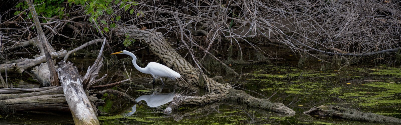 Natural areas throughout Bay County create opportunities for beautiful social media posts.