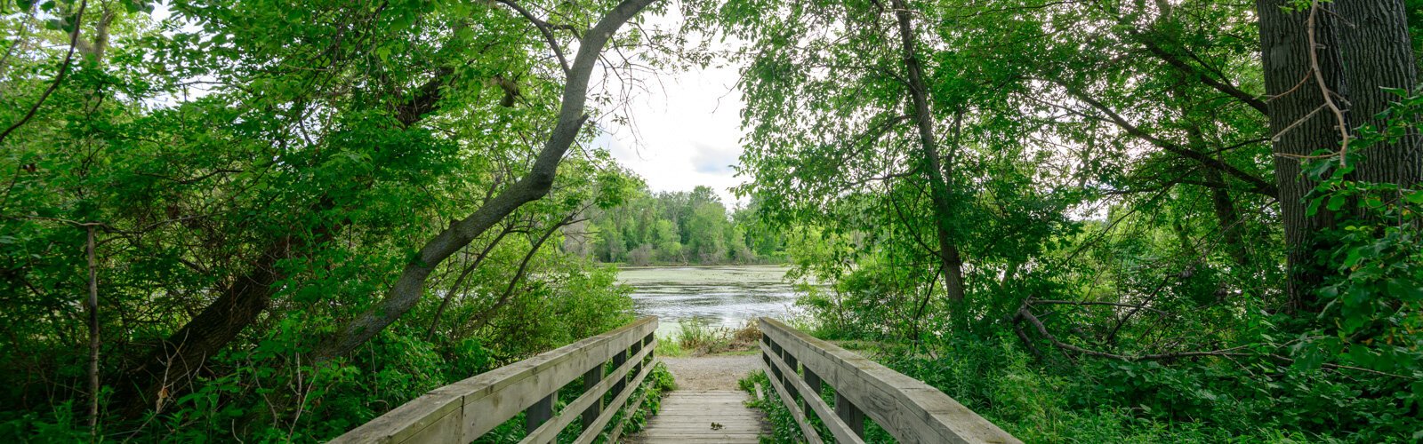 Paths lead visitors throughout the Bay City State Park.