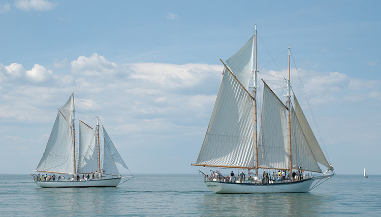 The Appledore V and the Appledore IV