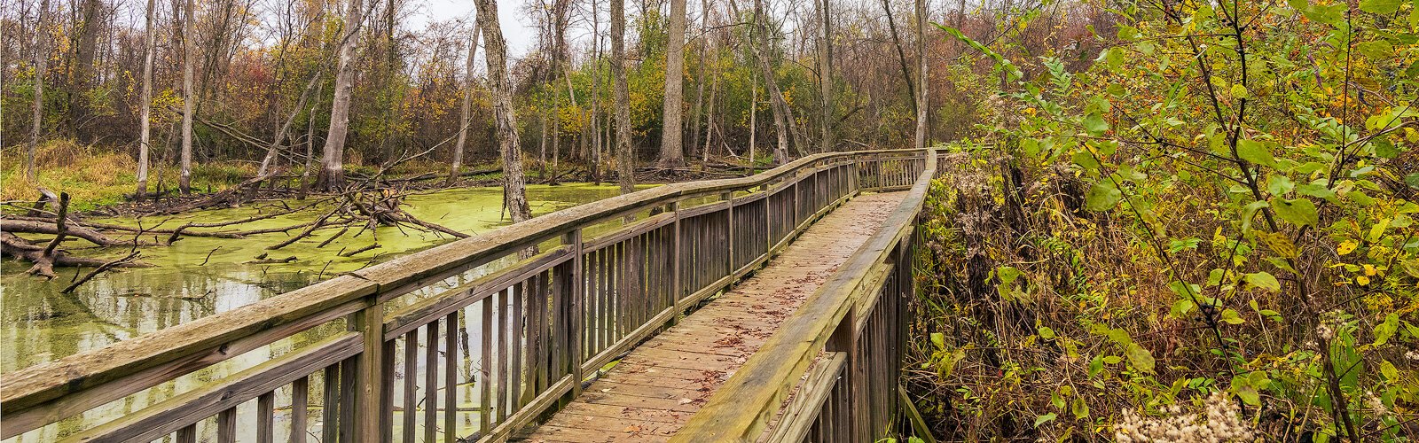 Bear Creek Nature Park. Photo by Doug Coombe.