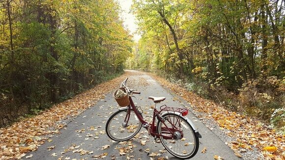 The YAC is encouraging young people to tackle spring clean-up, such as removing debris from area trails, projects April 23-25.