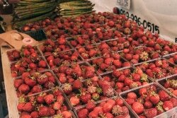 Downtown Market list
