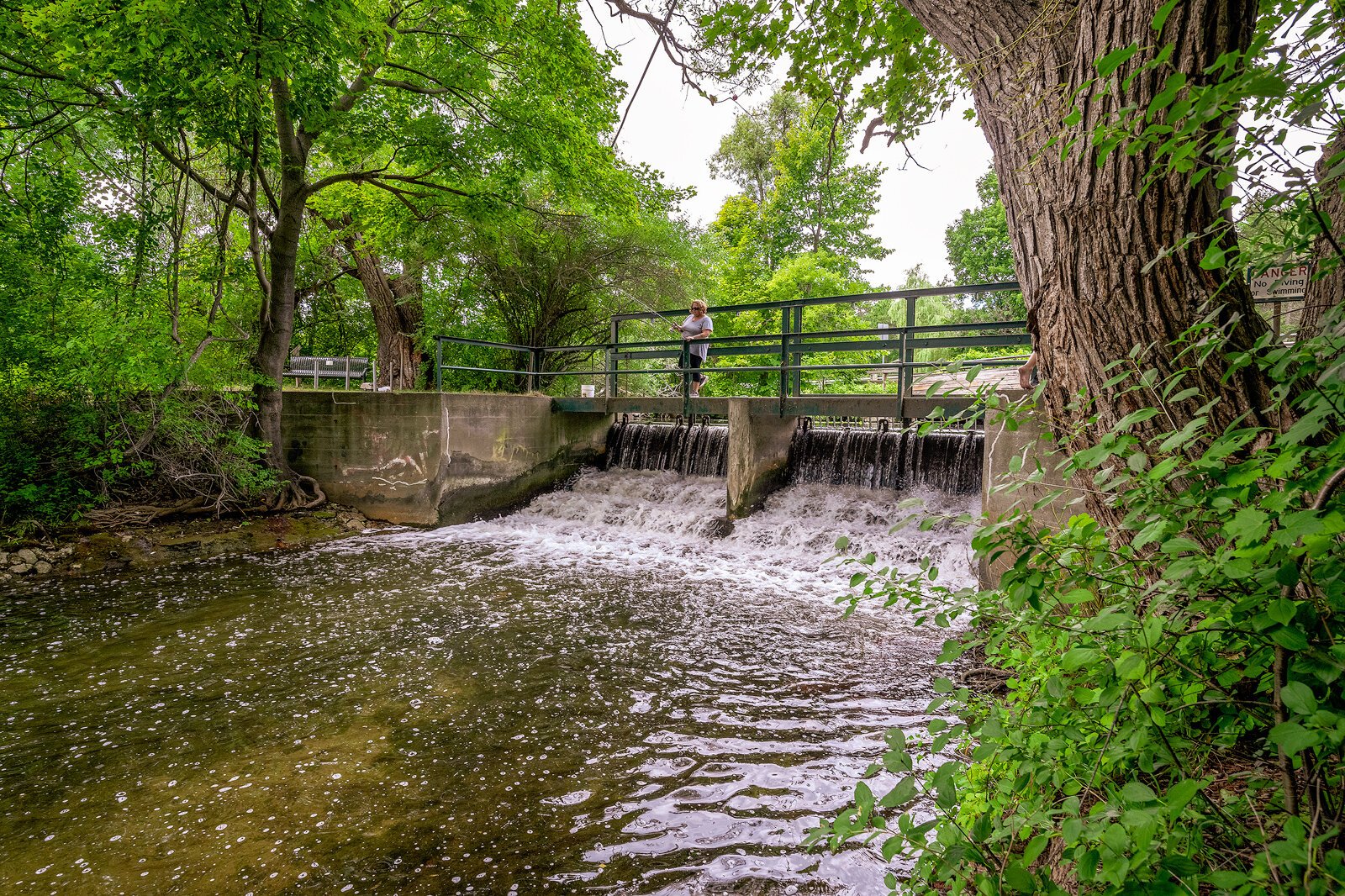 Drayton Plains Nature Center Waterford Township. Photo by Doug Coombe.