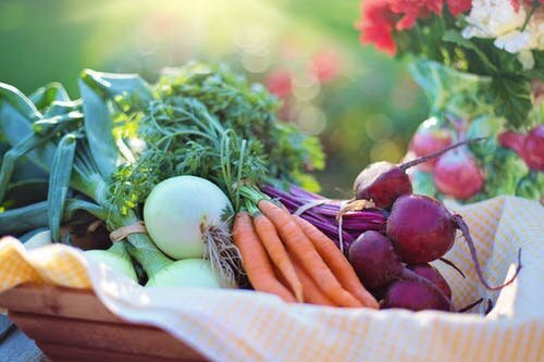 During Fall Family Harvest Days, the City Market will give away apples and pumpkins while supplies last.