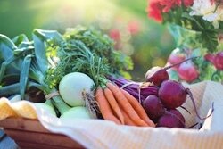 Harvest Photo List Image