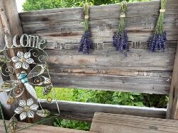 Lavender Farms list