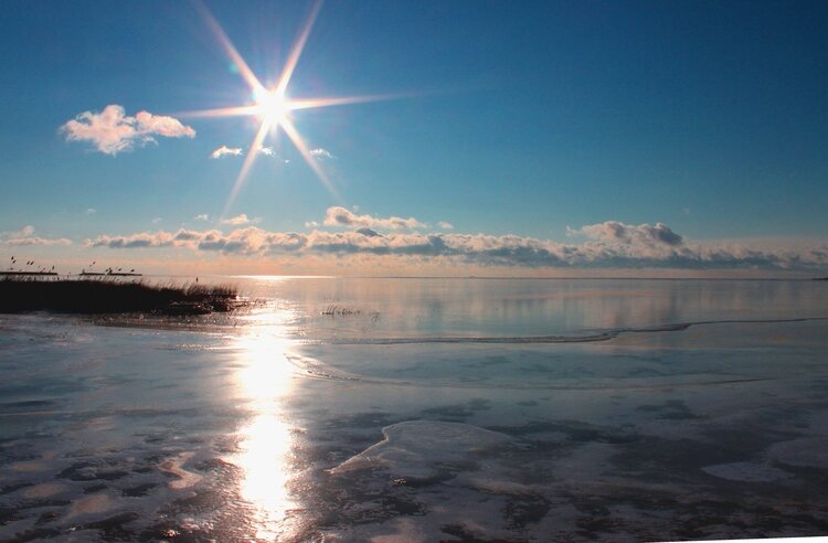 Don’t let the cold stop you from enjoying all the beauty of a Michigan winter. 