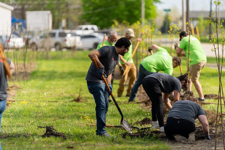 The trees planted included bare root whips, which are young trees. The SBLC also planted some larger saplings. (Photo courtesy of Zachary Branigan)