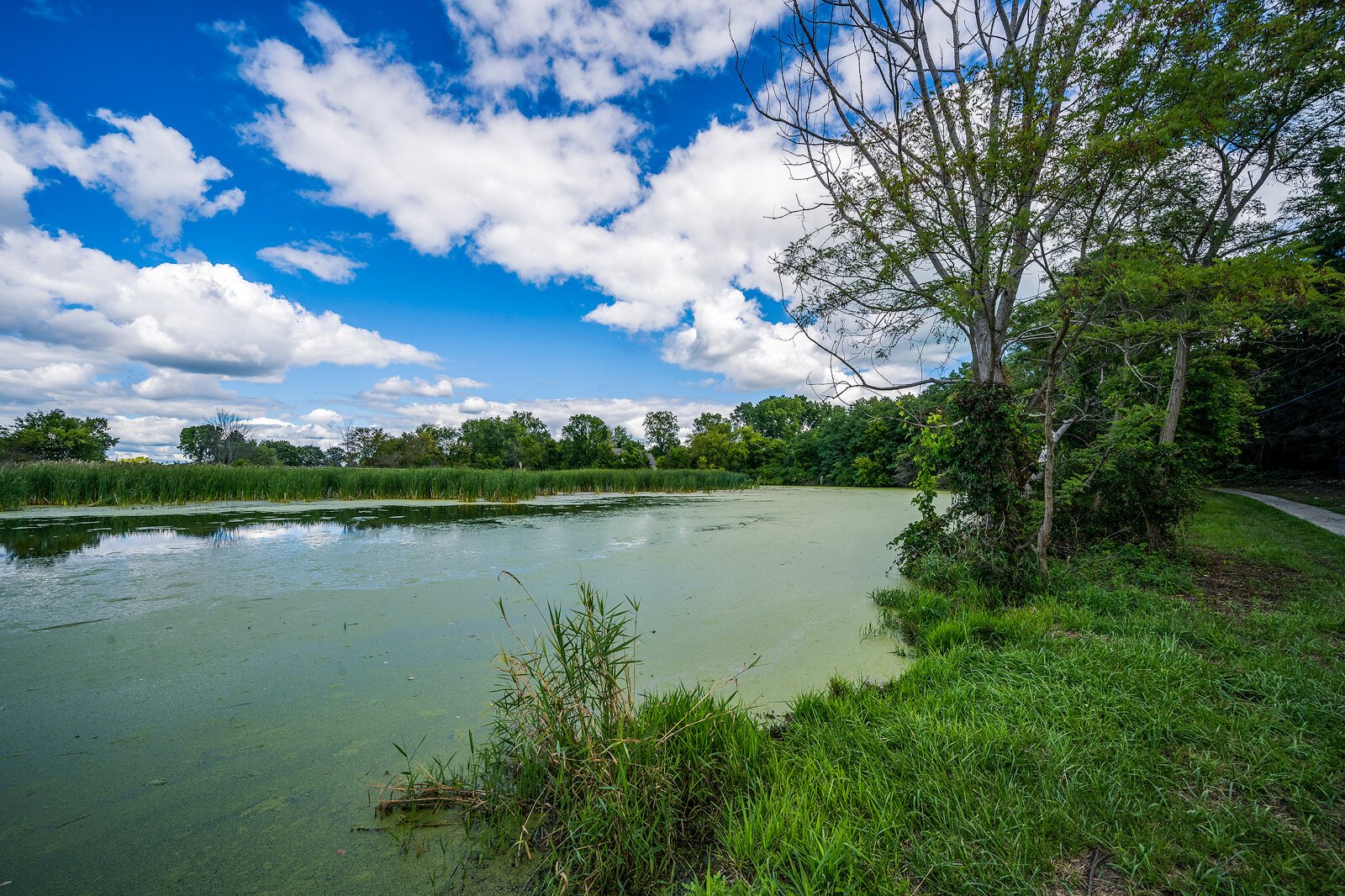 Salt River, Chesterfield Township's Webber Paddle Park. Photo by Doug Coombe.