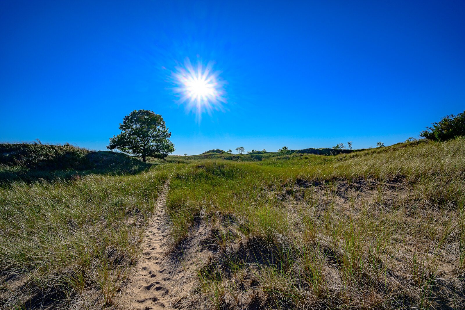 Saugatuck Harbor Natural Area. Photo by Doug Coombe.