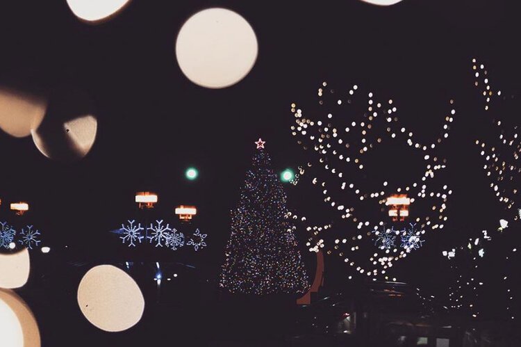 Christmas lights hanging from trees and street lamps cast an enchanting glow over a chilly winter evening in Bay City. 