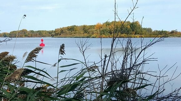 Fields, water, and wooded areas all line the RailTrail system. (Photo courtesy of Shelley Gotschling)