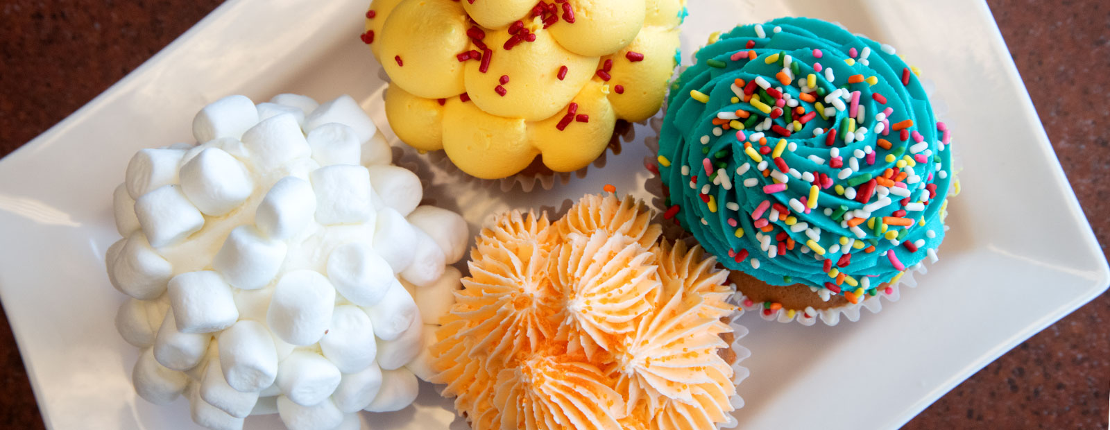 Beautiful Cupcakes at Sugar Shack - Photo Dave Trumpie