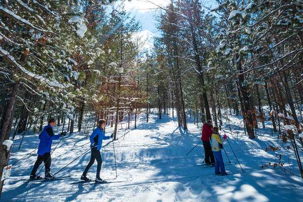 Cross Country Skiing/Photo courtesy of TC Tourism