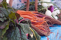 Conscientious Eating and Food Sales-thumb