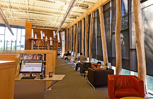 Ash from Urbanwood inside the Traverwood Branch of the Ann Arbor District Library