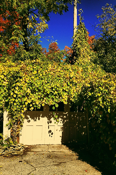 A garage on Ann Arbor's west side