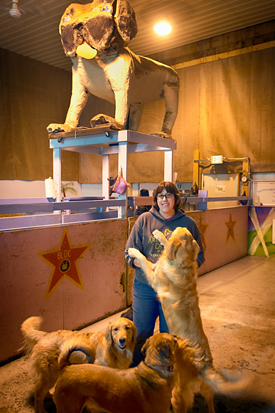Arbor Dog Daycare