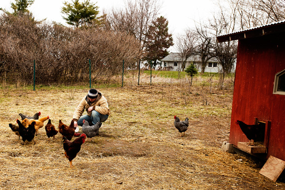 Jason Gold feeds the chickens goat milk at the Michigan Folk School