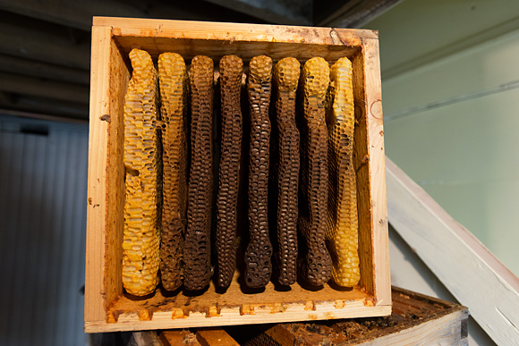 A Warre beehive at the Michigan Folk School