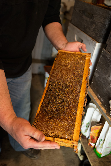 A beehive frame at the Michigan Folk School