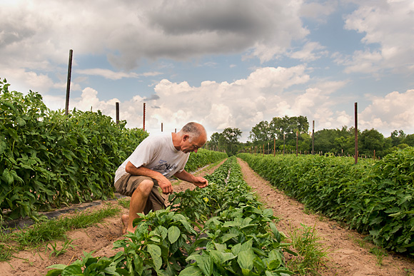 Richard Andres at Tantre Farm