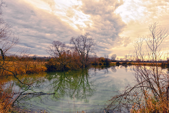  The Ann Arbor Greenbelt in Ann Arbor Charter Township