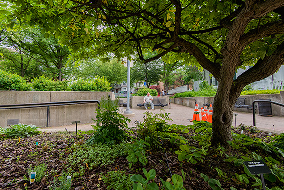 The Sensory Garden at Liberty Plaza