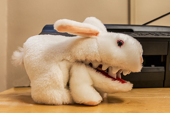 The killer rabbit from Monty Python and the Holy Grail at the Olark offices