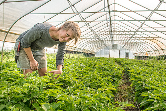 Hannah Rose in her hoop house at Tilian Farm