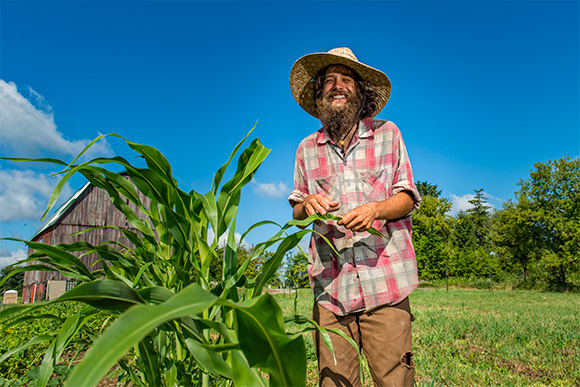 Ryan Padgett with his sorghum at Tilian Farm