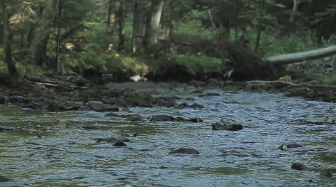 River