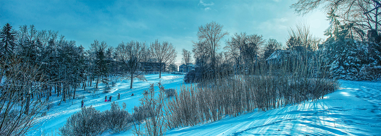 Nichols Arboretum, Ann Arbor