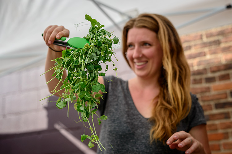 Dawn Farms Grace Yoder selling microgreens at Ypsilanti Farmers Market