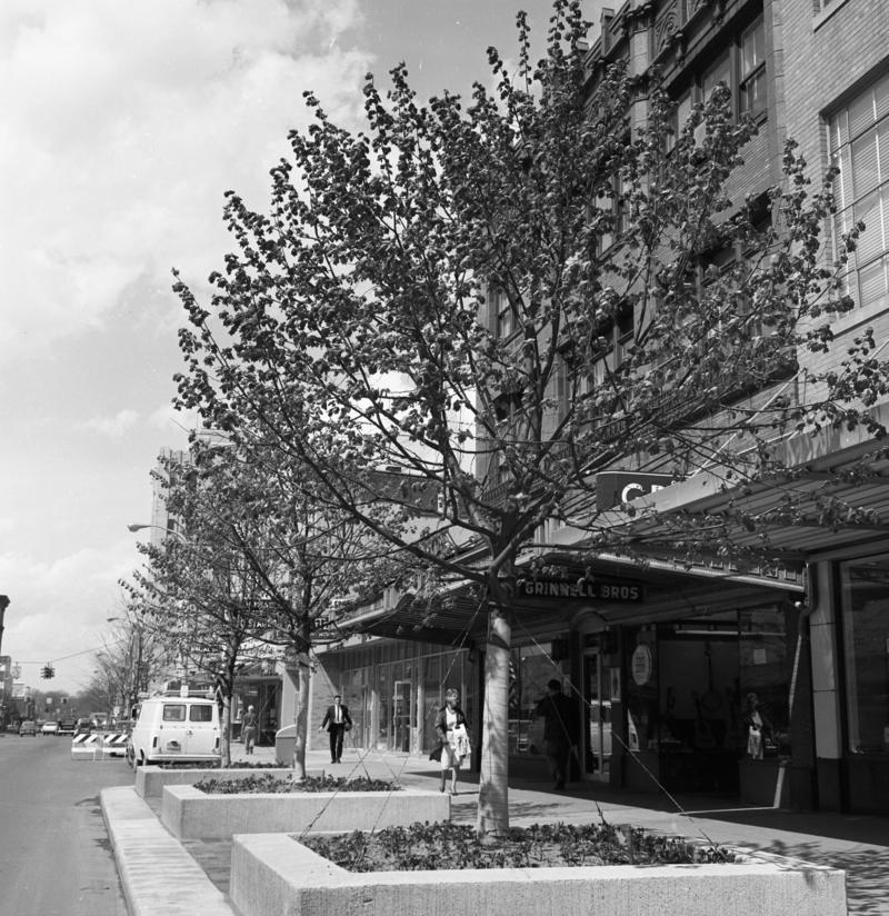 The Main Street promenade funded by Elizabeth Dean, circa 1966.