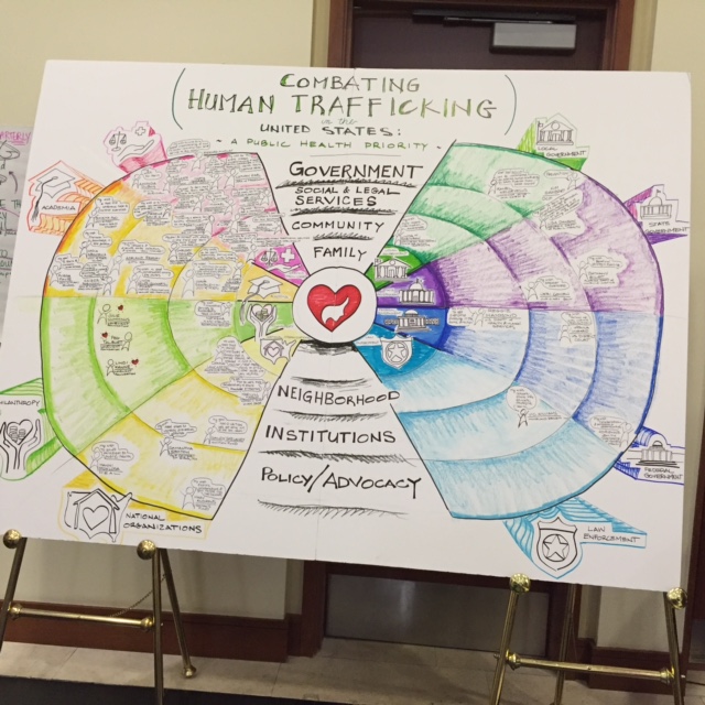 Diagram from a Florida human trafficking conference attended by Ann Arbor anti-trafficking activist Peg Talburtt.