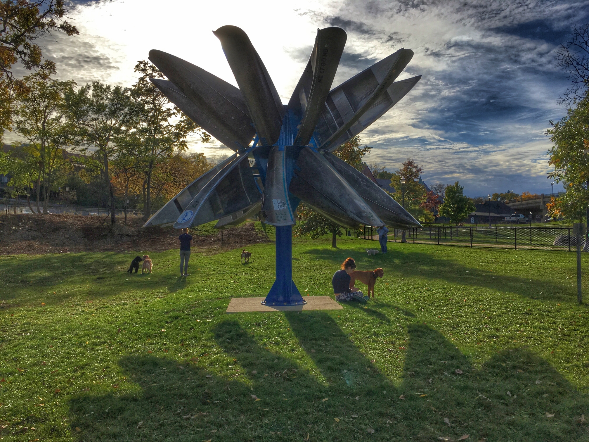 Dogs play at Broadway Dog Park.