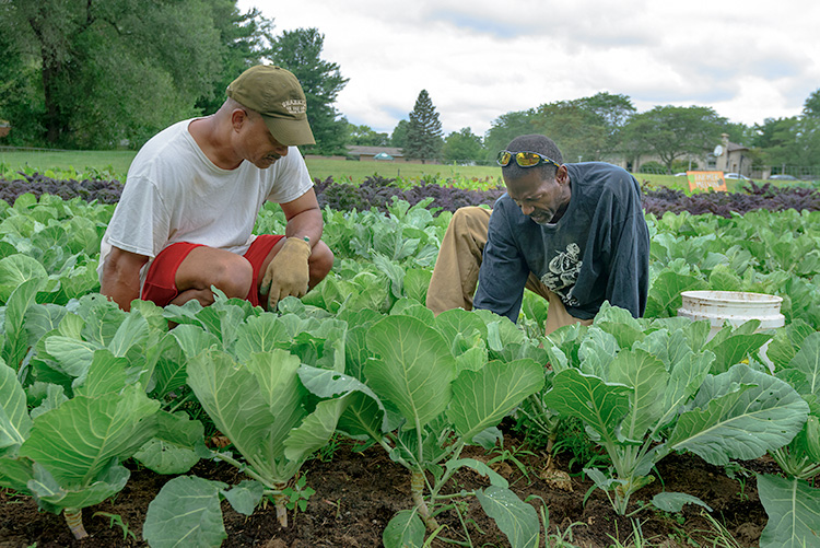 Emanuel Tyus and Melvin Parson at We The People Growers Association gardens