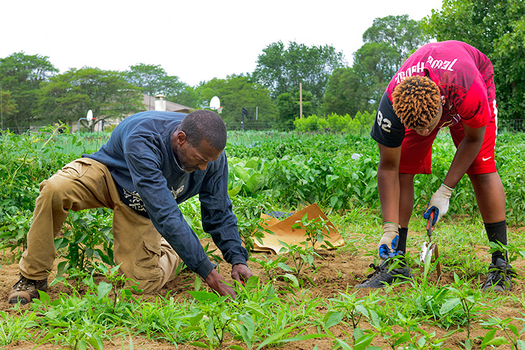 Melvin Parson and Jamari Jefferson at We The People Growers Association gardens